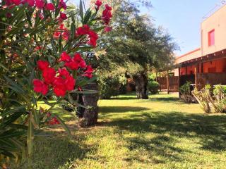 Regina Del Mare Holiday Apartments - Tirrenia - 7