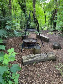 Foxes Hollow - Woodland Cabin - Alfriston - Alfriston - 7