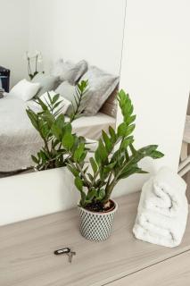 2Bed Sliema Apt - Walk to Beaches & Valletta - Sliema - 6