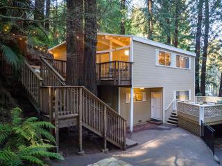 Window to the Redwoods - Near Downtown MV, Dipsea Trail, & Muir Woods - Mill Valley - 5