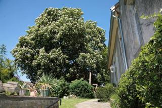 Haus Keppelborg: ZI Antonia mit Kirchplatzblick - Heek - 3
