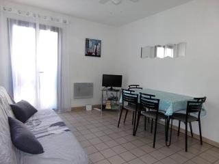 Appartement F2 avec Ascenseur, WIFI et Animaux Acceptés à Amélie-les-Bains - FR-1-703-1 - 0