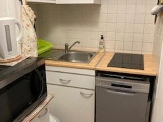 Appartement F2 Confortable à Amélie-les-Bains – Balcon, Parking, Proche Thermes, Animaux Bienvenus - FR-1-703-15 - Amélie-les-Bains-Palalda - 5