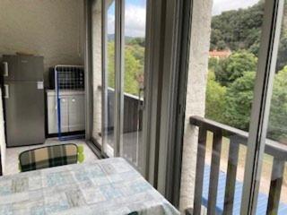 Appartement F2 Confortable à Amélie-les-Bains – Balcon, Parking, Proche Thermes, Animaux Bienvenus - FR-1-703-15 - Amélie-les-Bains-Palalda - 3