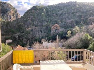 Studio 2 Couchages avec Balcon, Wi-Fi et Proche Thermes à Amélie-les-Bains - FR-1-703-9 - Amélie-les-Bains-Palalda - 3