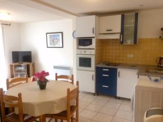 Charmant F2 avec Terrasse, Clim, Parking, Animaux OK - Amélie-les-Bains - FR-1-703-44 - Amélie-les-Bains-Palalda - 0
