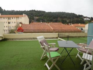 Studio climatisé avec balcon, centre-ville, proche cures - 2 pers, animaux ok - FR-1-703-68 - Amélie-les-Bains-Palalda - 0