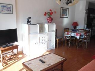 Appartement F2 spacieux avec loggia et garage à 500m des Thermes - 4 couchages, animaux acceptés - FR-1-703-91 - 7