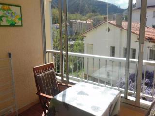 Studio confortable avec loggia et garage, proche centre-ville et cures, animaux bienvenus - FR-1-703-63 - 6