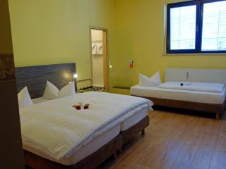 Stadthotel Regensburg - Ratisbona - 8