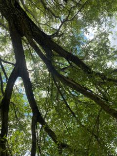 Complejo Las Violetas - 6