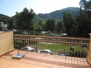 Appartement F2 avec Terrasse et Parking, Proche Cures et Centre-ville - Amélie-les-Bains - FR-1-703-142 - Amélie-les-Bains-Palalda - 1