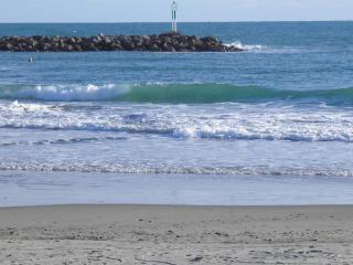 Superbe 4 pièces avec terrasse, clim, piscine et parking à Sète - FR-1-338-493 - 3