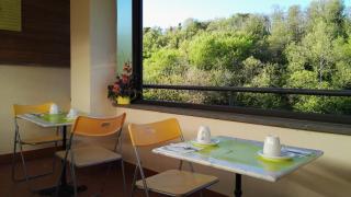 Butterfly - Bagnoregio - 2