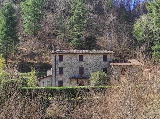 Casa Vacanze IL BOSCACCIO "Casa Serena" - Fornovolasco - 6