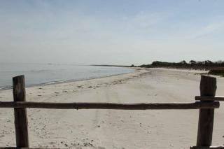 Erholung in der Natur - Urlaub im Alten Forsthaus - Zingst - 9