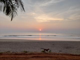 Gokarna Beachside Nest - 9
