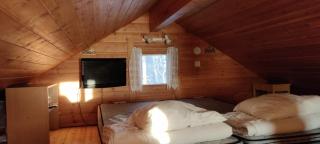 Punatulkku - Kalajoki - 3