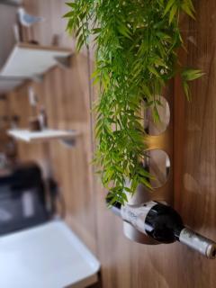 Wonderful Appartement in Son Baulo/Can Picafort - Can Picafort - 1