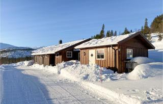 3 Bedroom Gorgeous Home In Bykle - 5