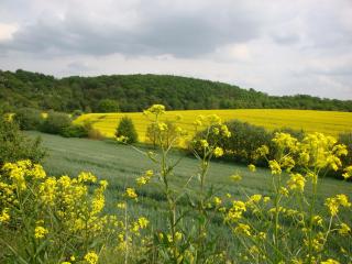 Ferienbauernhof Neumühle - Gappenach - 0