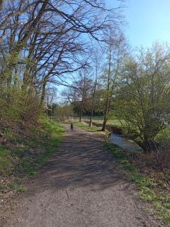 Ferienbauernhof Neumühle - Gappenach - 5