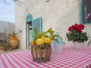Beautiful property with annex in Locorotondo - 9