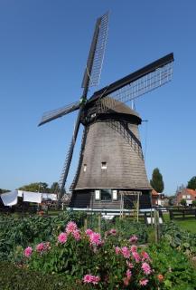 Het Zeepaardje - 4