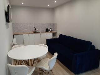 Central Platinum Apartments 24 - Rybnik - 0