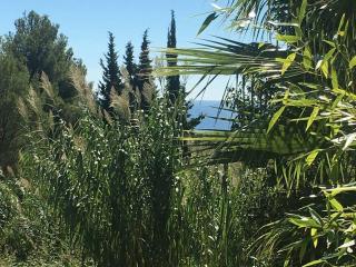 CABANON - Carqueiranne - 8