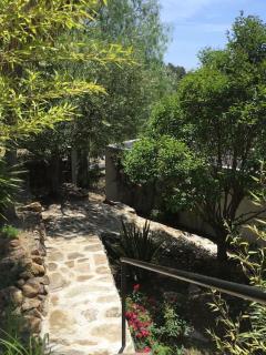 CABANON - Carqueiranne - 6