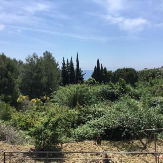 CABANON - Carqueiranne - 3