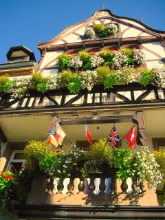 Hotel Restaurant Krone - Wolfach - 3