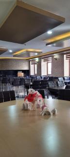 Güngören Hotel - Kars - 7