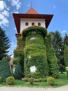 Pensiunea Colt De Rai - 2