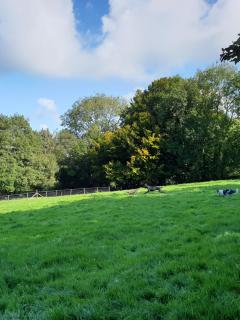 Snuggle hot tub Dolgoy - 1