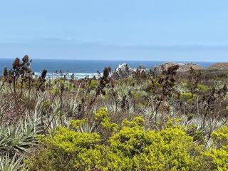 Descanso y Aire Fresco en Los Molles - 5