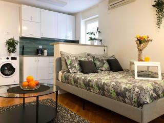 Promo - Flora Apartment - Novi Sad - 8