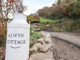 Alwyn Cottage - Llangollen - 8