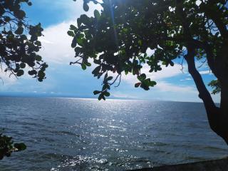 Cielito Lindo - 7