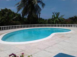 Villa Chinnor-Kent Ave - Montego Bay - 2