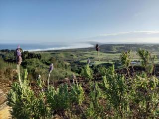 UNA VISTA PERFECTA - Teguaco - 3