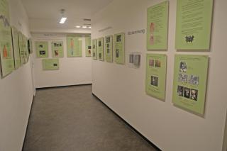 Pension Zur Fledermaus - Waren - 6