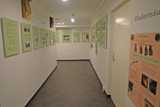 Pension Zur Fledermaus - Waren - 5