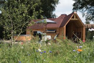 Dol Y Mynydd The Mountain Meadow - Cottage - Llangerniew - 8