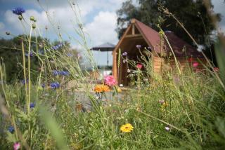 Dol Y Mynydd The Mountain Meadow - Cottage - Llangerniew - 6