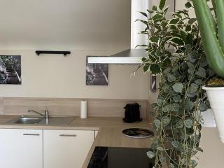 Charmant T3 avec jardin privé, proche des Thermes, bien équipé, parking inclus - FR-1-541-97 - La Roche-Posay - 5