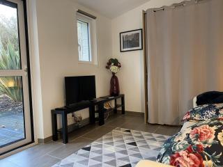 Studio lumineux avec jardin privé et terrasse en plein centre de La Roche-Posay - FR-1-541-96 - La Roche-Posay - 6
