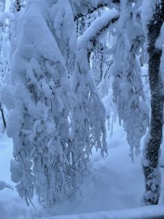 Levi center, cozy and convenient apartment with sauna - 2