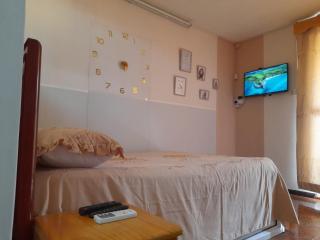 Roshnee Apartments and Studios - Grand Bay - 3